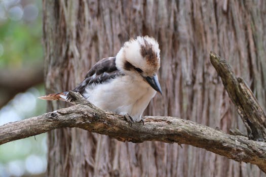 <h2>Domácí kompostování: Jak zlepšit životní prostředí z pohodlí domova</h2>